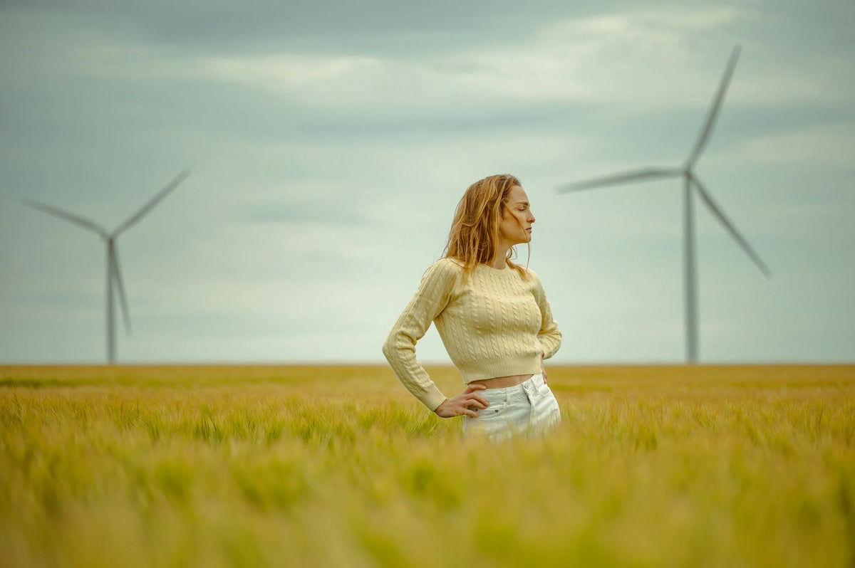 Le Pull BB Cables jaune pâle, vue 8